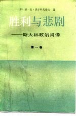 胜利与悲剧  斯大林政治肖像  第1卷