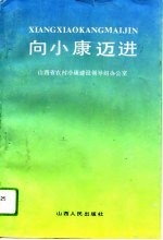 向小康迈进 全省小康乡村建设经验选编