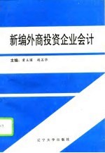 新编外商投资企业会计