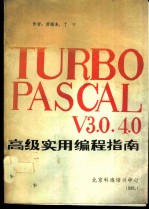 TURBO PASCAL V3.0 4.0高级实用编程指南