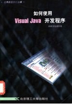 如何使用Visual Java开发程序