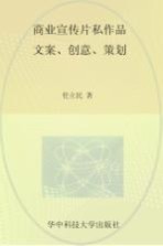 商业宣传片私作品 文案、创意、策划