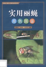 实用医学媒介生物彩色图鉴系列  实用丽蝇原色图鉴