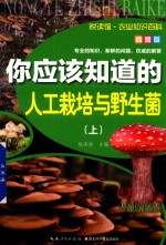 你应该知道的人工栽培与野生菌 上