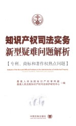 知识产权司法实务新型疑难问题解析 专利、商标与著作权热点问题