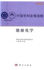 中国学科发展战略 能源化学