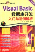 Visual Basic数据库开发入门与范例解析