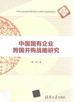 中国国有企业跨国并购战略研究