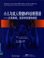 小儿与成人骨髓MRI诊断图谱 正常表现、变异和弥漫性病变