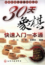 30天象棋快速入门一本通