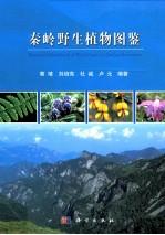 秦岭野生植物图鉴