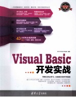 软件开发实战  Visual Basic开发实战