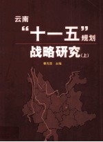 云南“十一五”规划战略研究 上