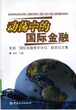 动荡中的国际金融  首届“国际金融青年论坛”获奖论文集