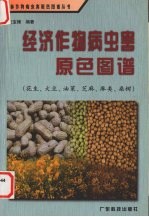 经济作物病虫害原色图谱 花生、大豆、油菜、芝麻、麻类、桑树