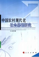 中国农村现代化社会基础研究