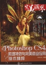 中文版Photoshop CS4肌理特效与完美商业应用技术精粹