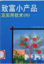 致富小产品及实用技术 4