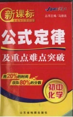 新课标公式定律及重点难点突破 初中化学