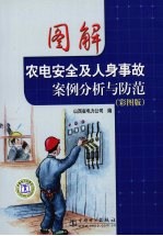 图解农电安全及人身事故案例分析与防范 彩图版