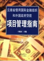 云南省借用国际金融组织和外国贷款项目管理指南