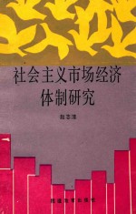 社会主义市场经济体制研究