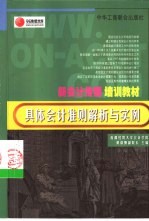 具体会计准则解析与实例