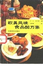 欧美风味食品配方集