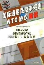 国际通用民商事规则与WTO协议解读 国际金融 国际知识产权 国际劳工、劳务贸易