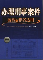 办理刑事案件流程及罪名适用 中