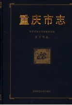 重庆市志 第14卷 公安志 检察志 审判志 司法行政志 军事志 外事志