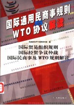 国际通用民商事规则与WTO协议解读  国际贸易组织规则 国际经贸争议仲裁 国际民商事及WTO规则解读