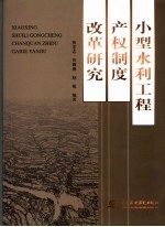 小型水利工程产权制度改革研究