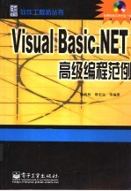 Visual Basic.NET高级编程范例