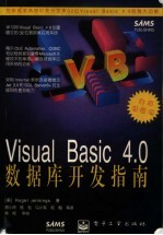 Visual Basic 4.0数据库开发指南