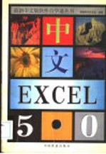 中文Excel 5.0