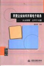 民营企业如何开展电子商务 “从头到尾”之69个问题