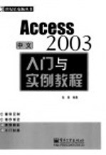 中文Access 2003入门与实例教程