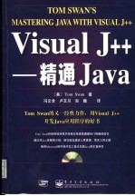 Visual J++ 精通Java