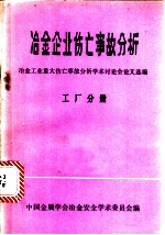 冶金企业伤亡事故分析：工厂分册