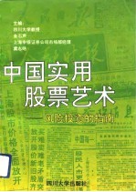 中国实用股票艺术 风险投资的指南