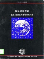 国际资本市场 发展、前景及关键性政策问题