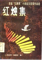 红烛集 首届“红烛奖”小说征文获奖作品选