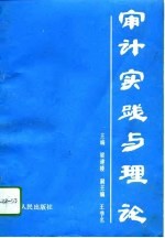 审计实践与理论