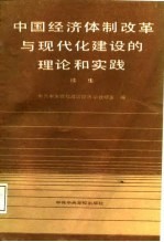 中国经济体制改革与现代化建设的理论和实践 续集