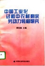 中国工业化过程中农村剩余劳动力转移研究