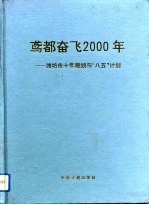 鸢都奋飞2000年 潍坊市十年规划与“八五”计划