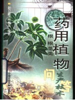 药用植物生产技术问答 1 根 根茎类