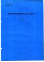 复杂断块油田滚动开发技术研究