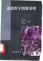 遥感数字图像处理